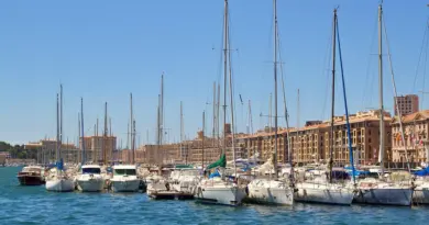 La Ville de Marseille va offrir un arbre à chaque nouveau-né