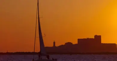 A Marseille, un promoteur et un bureau d’études jugés pour avoir délogé des chouettes protégées