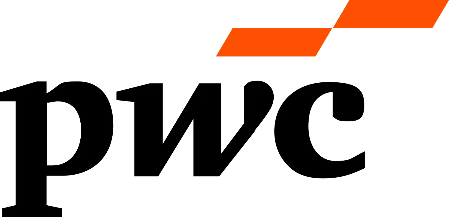 Consultant Audit IT et gestion des risques expérimenté