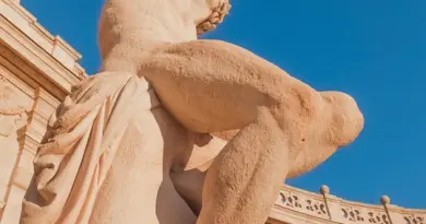 La Savonnerie du midi met en avant l’artisanat marseillais