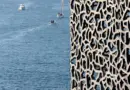 Le nouveau TER privé de Transdev circule entre Marseille, Toulon et Nice