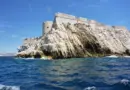 MARSEILLE : La région Provence-Alpes-Côte d’Azur met à l’ho…