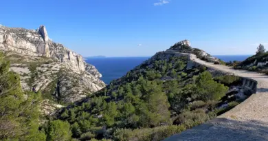 Municipales à Marseille : Franck Allisio sur la nouvelle enquête visant le RN : « C’est un acharnement »