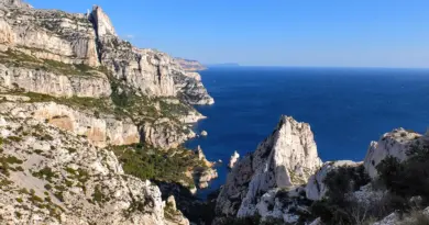 Plug and Play, ce géant américain s’installe à Marseille : « Nous voulons ancrer l’innovation dans le territoire »