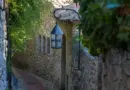Sommet scientifique à Nice, biodiversité à Marseille… l’interview de Thierry Perez, spécialiste en écologie marine à l’Imbe