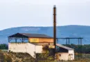 TURQUIE. Les Kurdes veulent des actes officiels, pas de promesses creuses