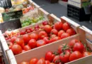 Visioconférences nationales « Santé – Environnement » – ac-aix-marseille.fr