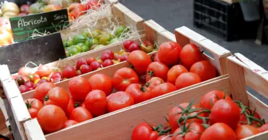 Visioconférences nationales « Santé – Environnement » – ac-aix-marseille.fr