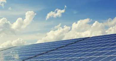 PikiP Solar Speakers, l’entreprise marseillaise qui mise sur le son écoresponsable