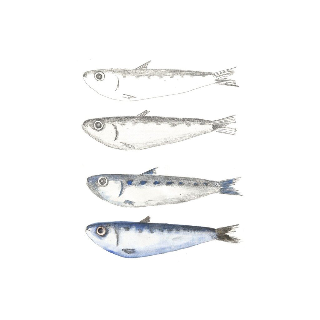 A Marseille, cet artisan du Panier conçoit un couteau Sardine qui fait fureur