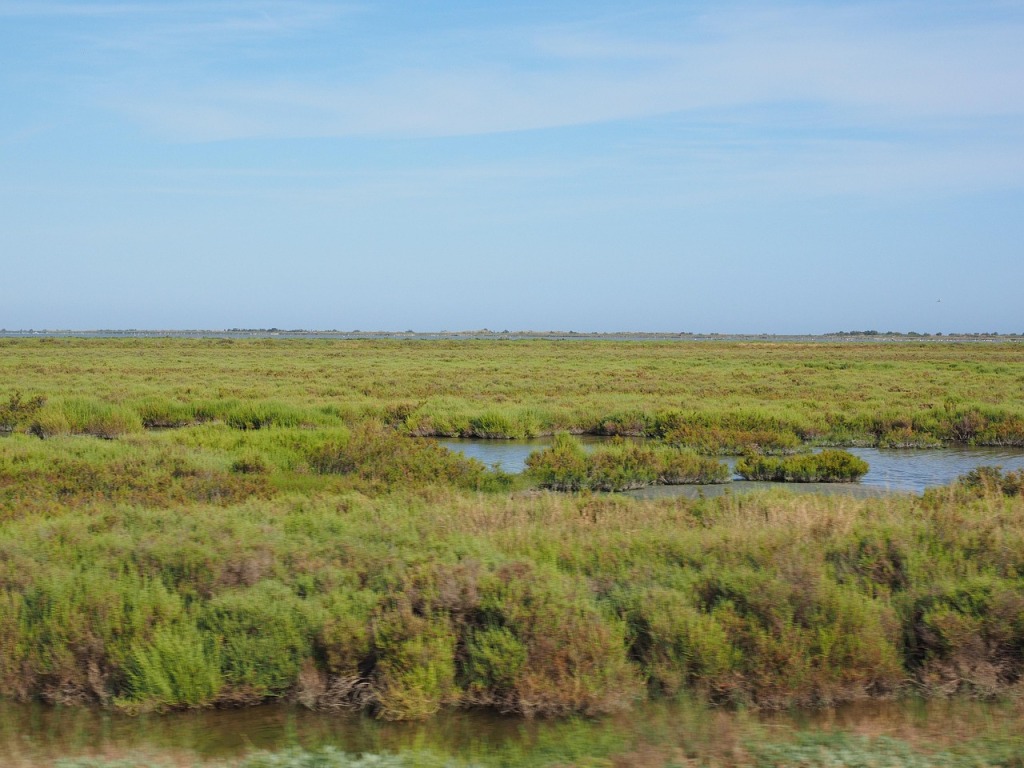 Préserver l’environnement des Bouches-du-Rhône