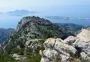 MARSEILLE : Trois startups lauréates de Tech4Transition propulsent l’innovation éco-responsable en région Sud