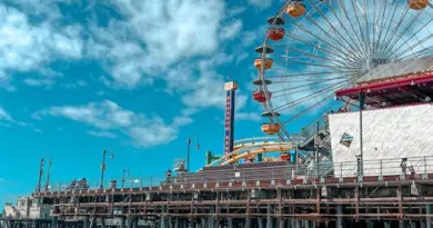 Les métiers d’arts sur le devant de la scène