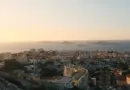 City Nature Challenge 2025 : relevez le défi avec Marseille !