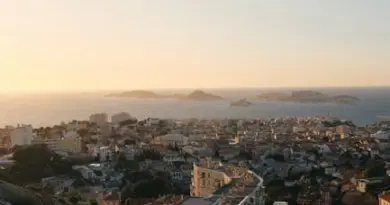 City Nature Challenge 2025 : relevez le défi avec Marseille !