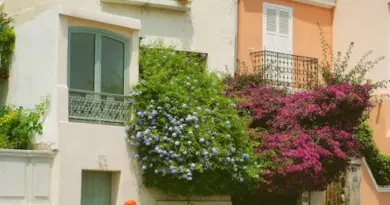Salaire brancardier à Marseille : emplois, métier et recrutement en milieu hospitalier