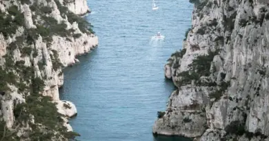Emploi à Marseille. Ce job insolite vous fera travailler en pleine forêt, la région Paca recrute