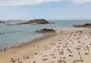 Plage du Prophète : le mille-feuille de posidonie, un chantier inédit –