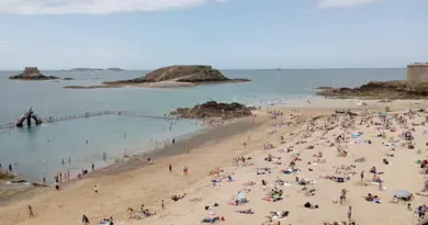 Plage du Prophète : le mille-feuille de posidonie, un chantier inédit –