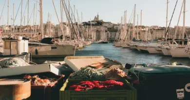 MARSEILLE : Prévention incendie, protégeons notre patrimoine naturel