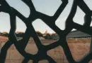 À Marseille, le Mucem donne à voir et à comprendre la culture amazighe