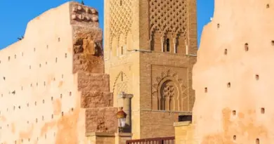 Deux œuvres corail signées Guillaume Bottazzi – Journées du Patrimoine