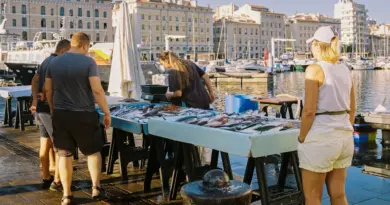 Marseille. Les Halles du Vieux-Port annoncent de grandes nouveautés : des commerces arrivent