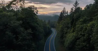 Vidéo