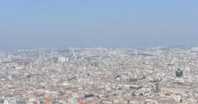 « On a sacrifié une génération » : contre la loi Duplomb, l’union des défenseurs de l’environnement à Marseille
