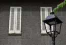 PikiP Solar Speakers, l’entreprise marseillaise qui mise sur le son écoresponsable