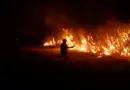 EN IMAGES. Incendie à la CPAM de Marseille : 224 personnes évacuées, 50 pompiers et 15 engins mobilisés