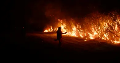 EN IMAGES. Incendie à la CPAM de Marseille : 224 personnes évacuées, 50 pompiers et 15 engins mobilisés