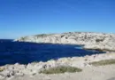 « Des trésors de biodiversité », Agnès Pannier-Runacher en visite dans les aires marines protégées au large de Marseille