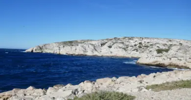 « Des trésors de biodiversité », Agnès Pannier-Runacher en visite dans les aires marines protégées au large de Marseille